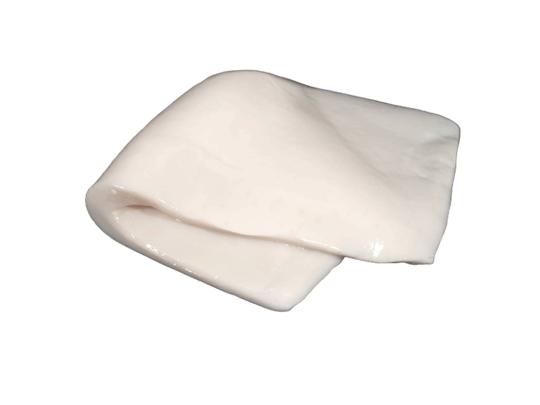 squid-Fillet-Photoroom